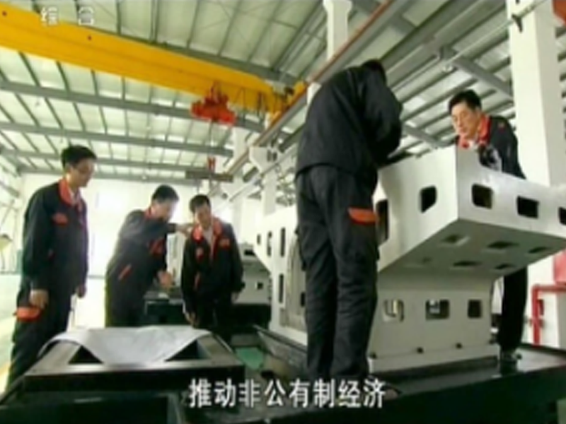 技術(shù)方案 技術(shù)方案